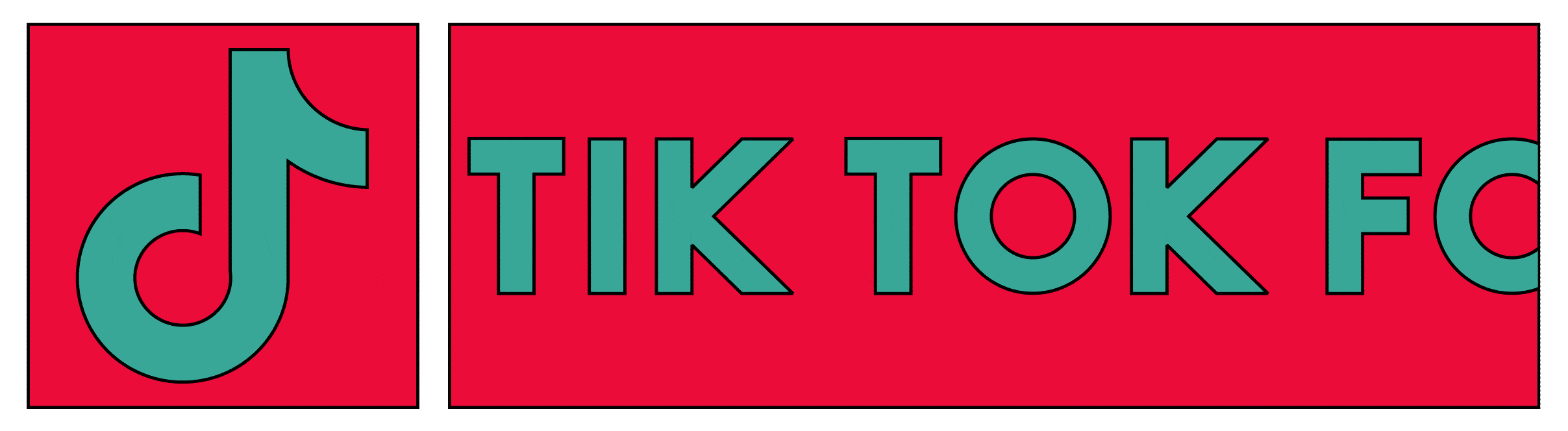 TikTok for Dummies